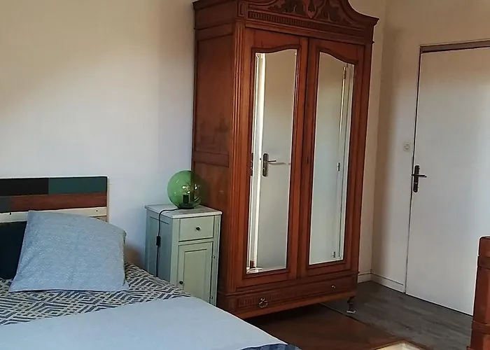 Lumineux Duplex A Wazemmes Appartement *