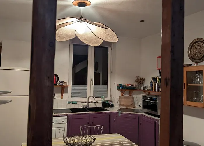 Lumineux Duplex A Wazemmes Appartement Rijsel