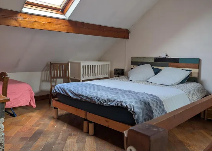 Lumineux Duplex A Wazemmes Appartement