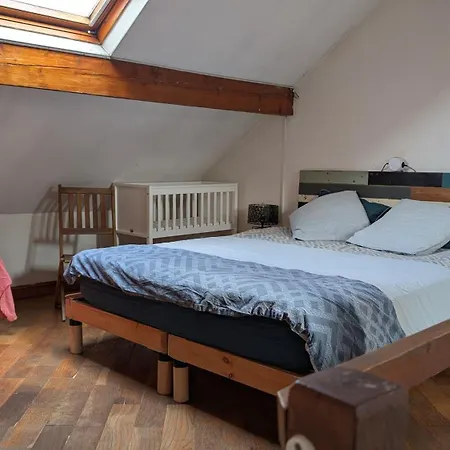 Lumineux Duplex A Wazemmes Daire