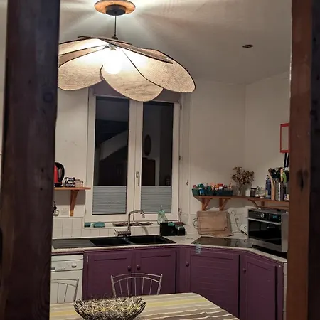 Lumineux Duplex A Wazemmes 아파트 릴